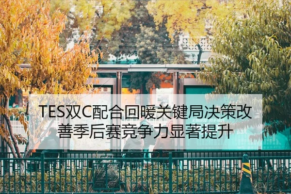 TES双C配合回暖关键局决策改善季后赛竞争力显著提升